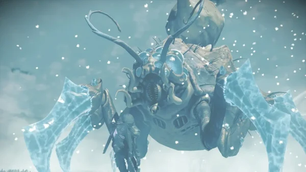无人深空宠物分享神奇动物在哪里