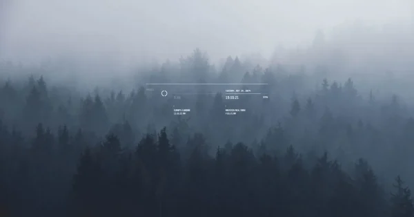 第五期《孤寂》世事一场大梦，人生几度秋凉。