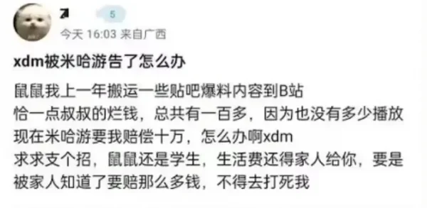 泄露原神未公开内容，被判赔偿米哈游十万