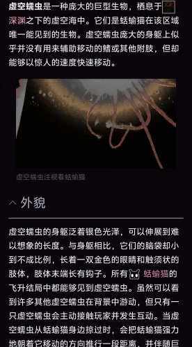 给萌新的雨世界白猫攻略