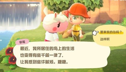 动物森友会露营地纳新攻略