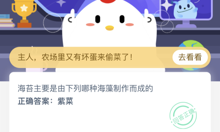 海苔由哪种海藻制作而成