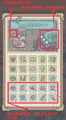 最强蜗牛器官攻略