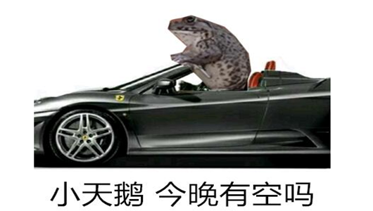 抖音小天鹅给个机会表情包分享