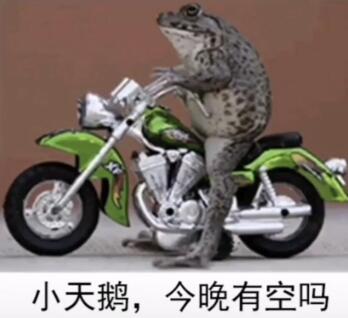 抖音小天鹅给个机会表情包分享