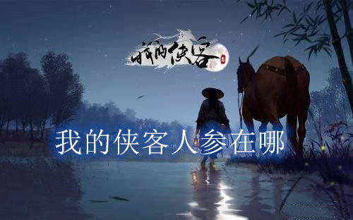 我的侠客人参购买位置获得方法介绍