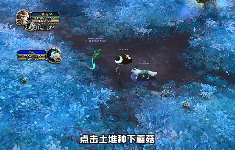 魔兽世界蟾蜍坐骑获取位置介绍