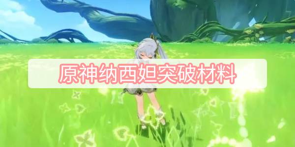原神纳西妲突破材料