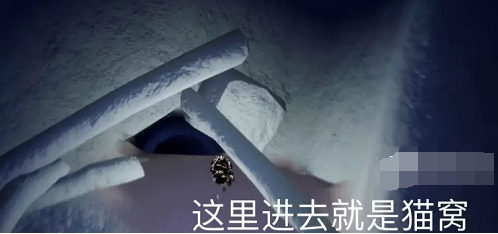 光遇皮皮猫窝在哪