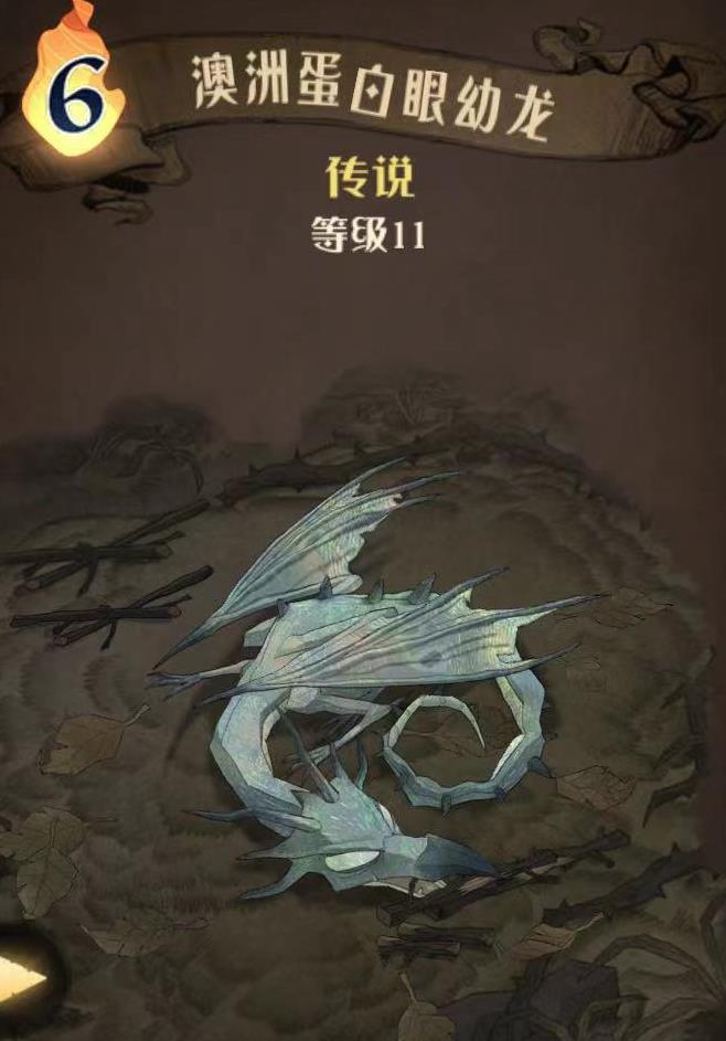 哈利波特魔法觉醒澳洲蛋白眼幼龙图鉴