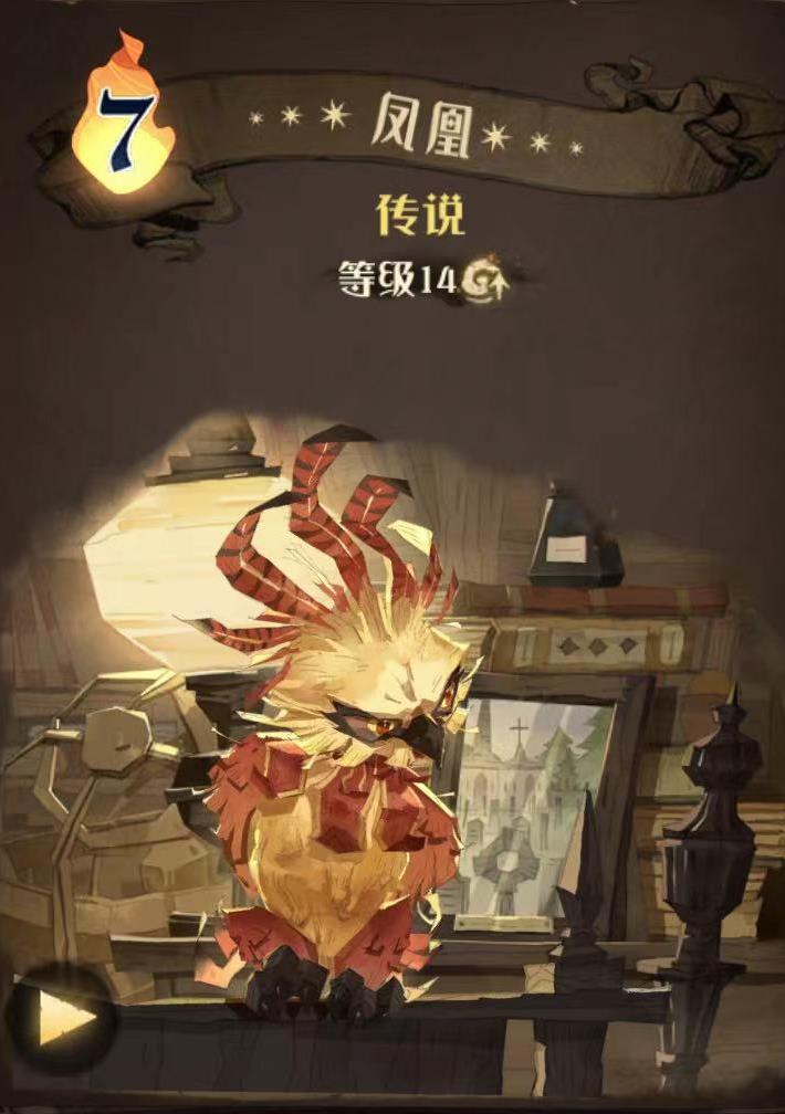 哈利波特魔法觉醒凤凰图鉴