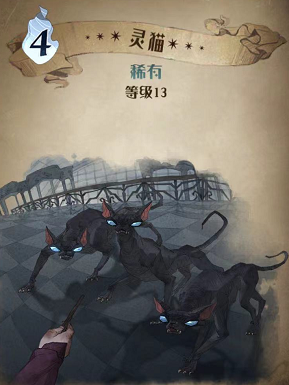 哈利波特魔法觉醒灵猫图鉴