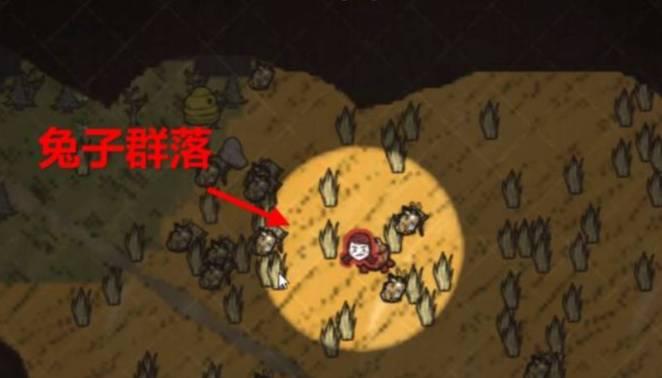 饥荒怎么养兔子