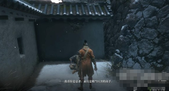 只狼情报贩子藤冈支线任务如何完成