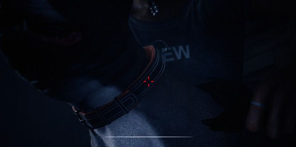 黑相集心中魔第三十三章攻略