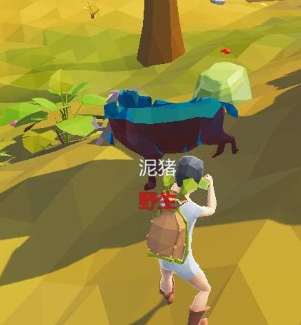 艾兰岛出生岛有哪些动物