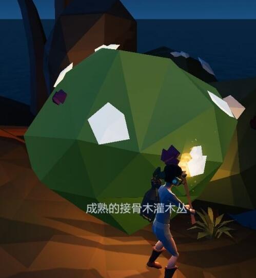 艾兰岛出生岛有哪些植物