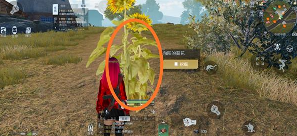 黎明觉醒藏宝图切割土地位置介绍