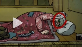 看不见的真相猫脸老太太攻略