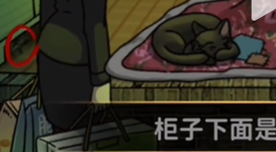 看不见的真相猫脸老太太攻略