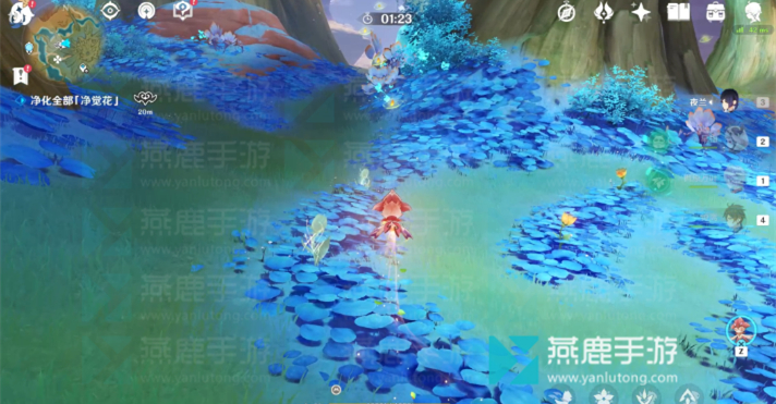 原神净觉花任务攻略