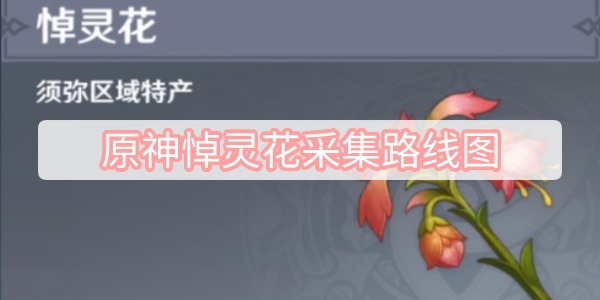 原神悼灵花采集路线图
