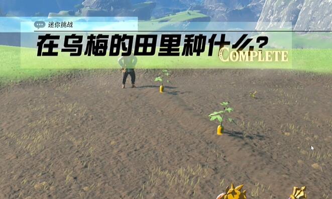 迷你挑战哈特尔地区在乌梅的田里种什么攻略