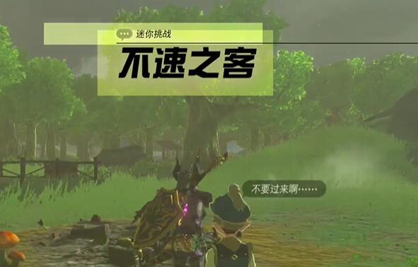 迷你挑战中央海拉鲁不速之客攻略