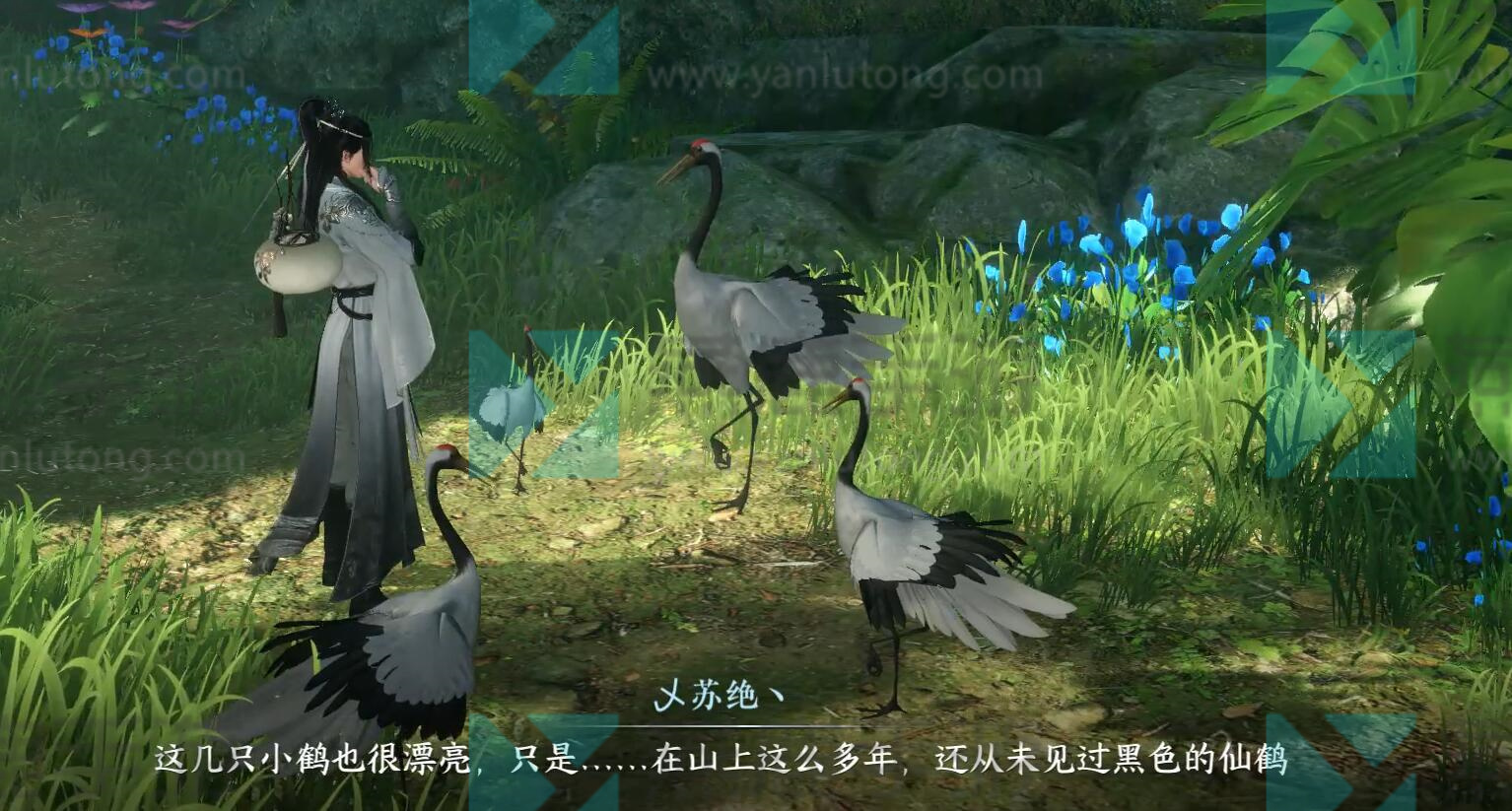 绝崖鹤唳奇遇攻略