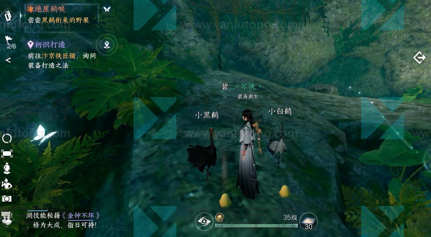 绝崖鹤唳奇遇攻略