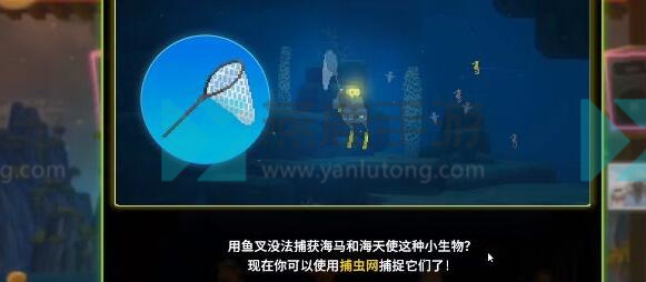 潜水员戴夫怎么抓海马