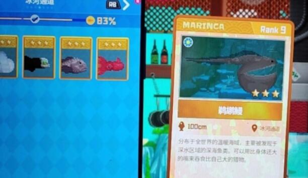 潜水员戴夫吞鳗在哪