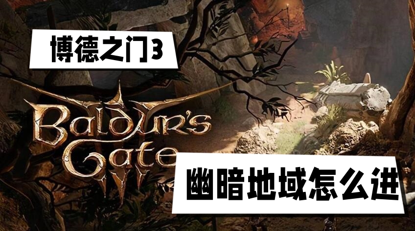 博德之门3幽暗地域怎么进