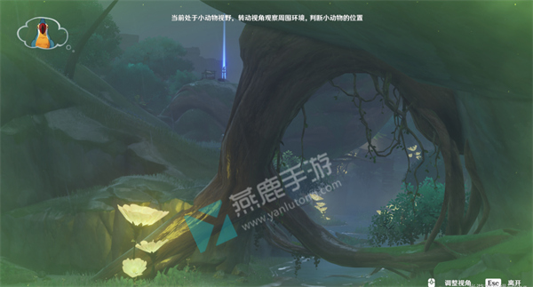 传心同视隐匿树丛的眼睛攻略