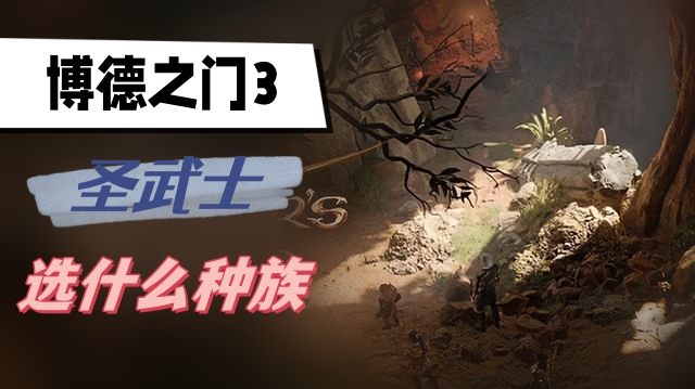 博德之门3圣武士选什么种族