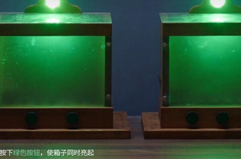 飞越13号房绿色按钮怎么过