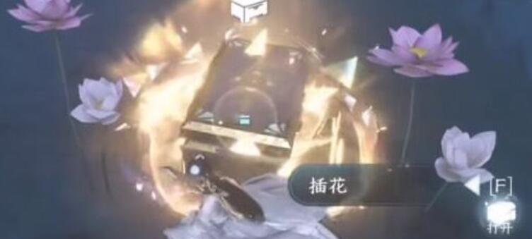仙居原宝箱位置