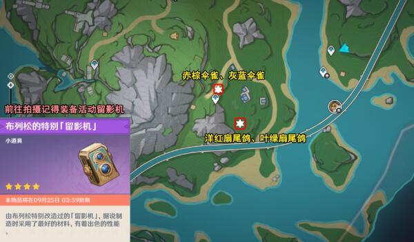 原神光影研学旖旎水界第四天攻略