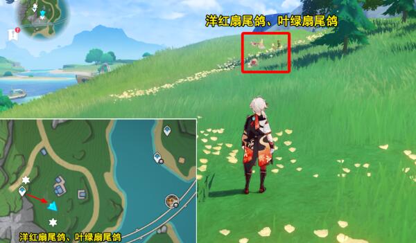 原神光影研学旖旎水界第四天攻略