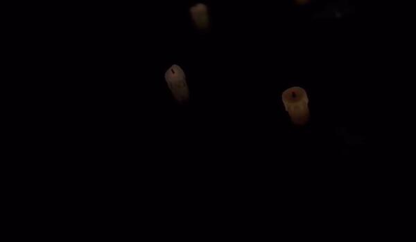 蜡烛人第一章第一关攻略