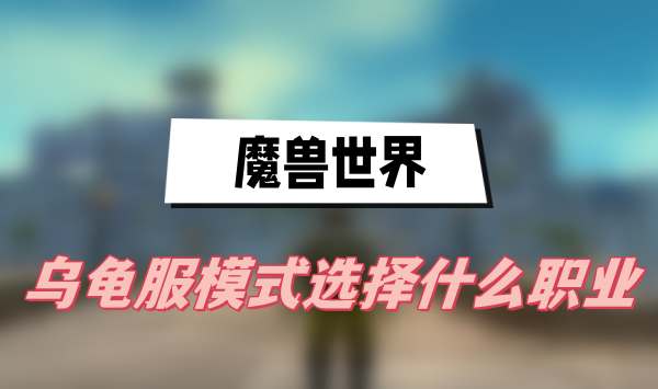 魔兽世界乌龟服模式选择什么职业