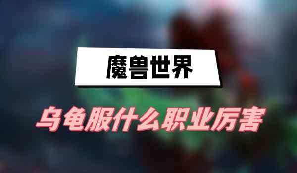 魔兽世界乌龟服什么职业厉害