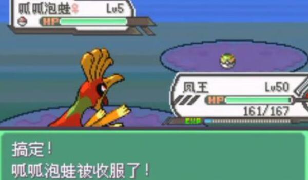 口袋妖怪究极绿宝石5.5呱呱泡蛙在哪抓