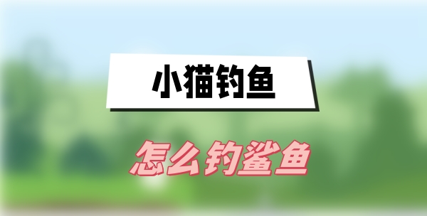 小猫钓鱼怎么钓鲨鱼