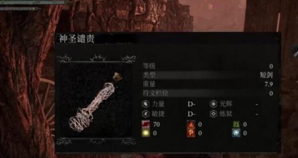 堕落之主神圣谴责怎么获得