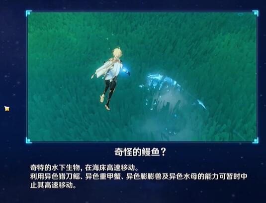 原神奇怪的鳗鱼宝箱在哪