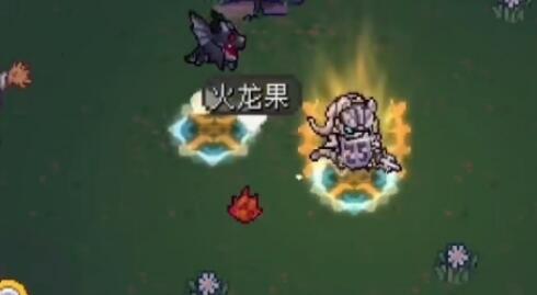 元气骑士前传宠物食物偏好