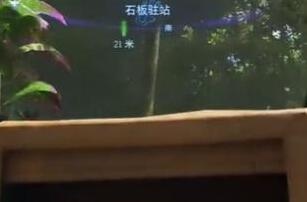 阿凡达潘多拉边境石板驻站在哪里
