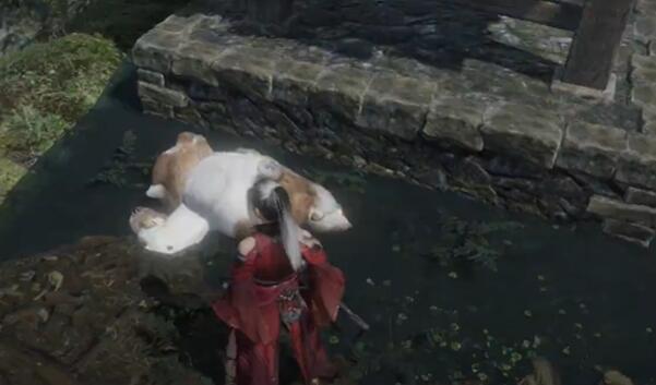卧龙苍天陨落DLC3水畔空然村全收集攻略