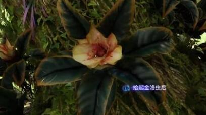 阿凡达潘多拉边境一路顺风支线任务第二部分攻略